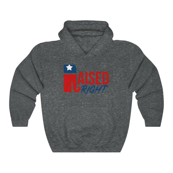 Raised Right Hoodie - Liberty Fanatic